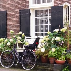 Street in the Jordaan neighbourhood