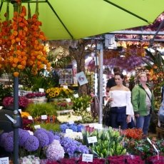The Flower Market