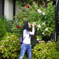Stop and smell the roses