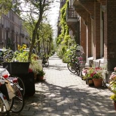 Oud-Zuid