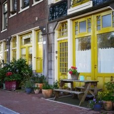 Yellow doors