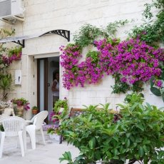 The streets of Monopoli 08