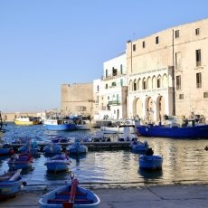 The old port in the afternoon light