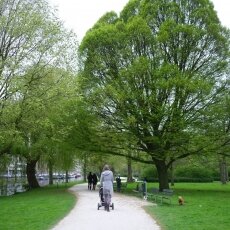 Spring snapshots 12
