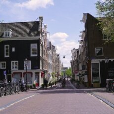 Spring snapshots 01