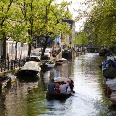 Spring snapshots 14