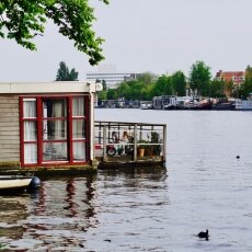 Spring snapshots 19