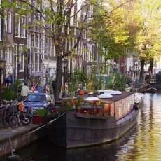 Spring snapshots 24