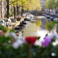 Spring snapshots 08