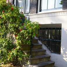 Spring snapshots 27