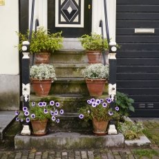 The old centre of Amsterdam 02