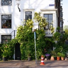 The old centre of Amsterdam 13