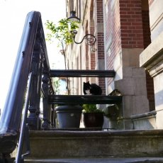 The old centre of Amsterdam 14