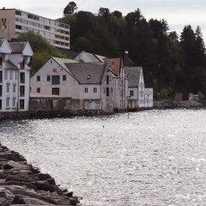 Water, sun and seagulls