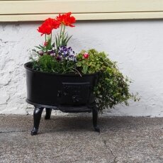 Flowers on the streets