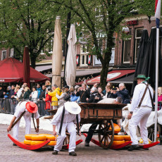 The traditional cheese market Alkmaar 06