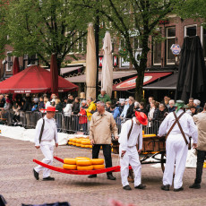 The traditional cheese market Alkmaar 12