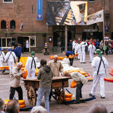 The traditional cheese market Alkmaar 11
