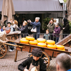The traditional cheese market Alkmaar 10