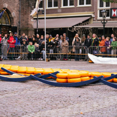 The traditional cheese market Alkmaar 18