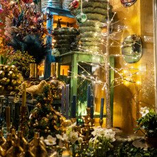 Christmas Lights Alkmaar 14