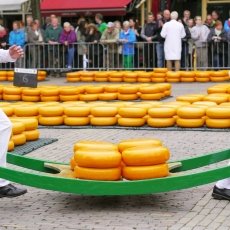 Alkmaar Cheese Market 04