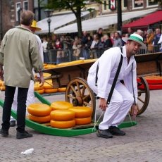 Alkmaar Cheese Market 07