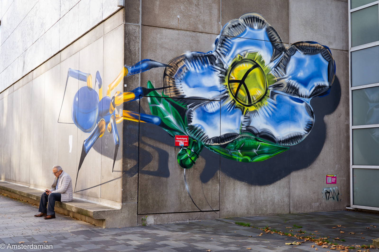 3D street art of a giant spider and a blue flower on a wall in Almere