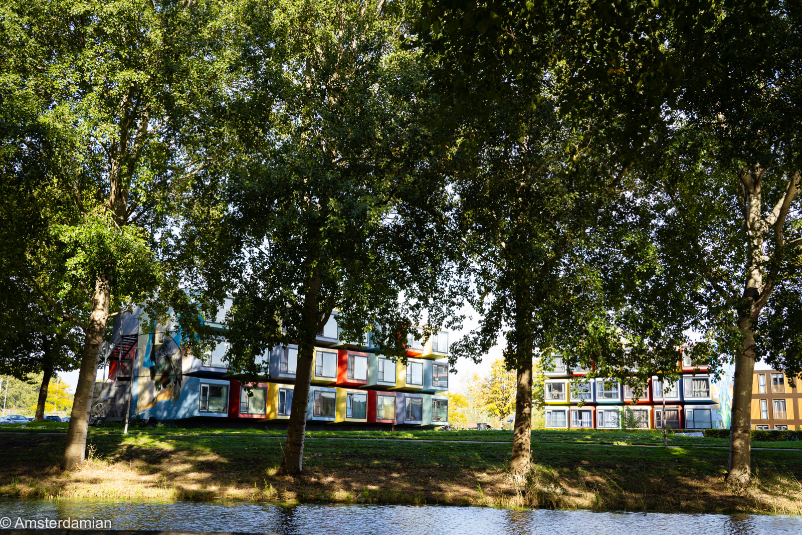 Colourful homes behind trees and a canal in Almere