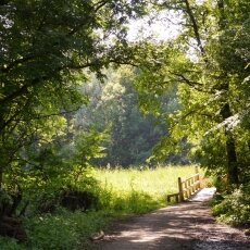 Amsterdamse Bos 01