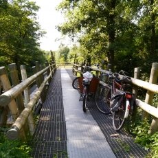 Amsterdamse Bos 15