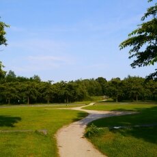 Amsterdamse Bos 05