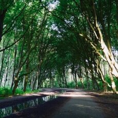 Amsterdamse Bos 23