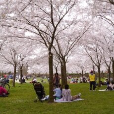 Amsterdamse Bos 17