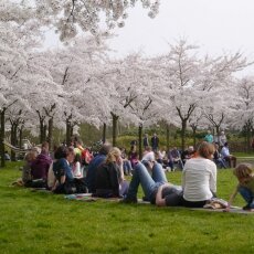 Amsterdamse Bos 19