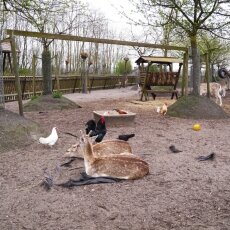Amsterdamse Bos 25