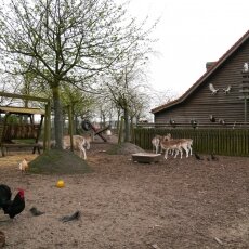 Amsterdamse Bos 27