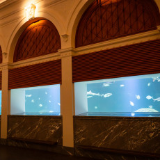 Arched aquarium windows glowing blue in the restored hall of ARTIS Aquarium
