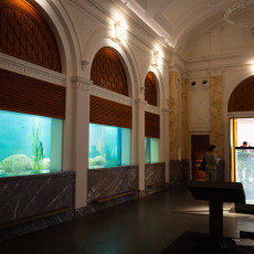 Visitors at the aquarium windows in the marble hall of the renovated ARTIS Aquarium