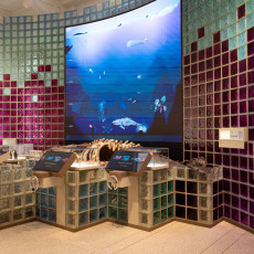 Exhibition room with glass-brick walls, display cases and an animated screen
