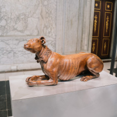 Artus Quellinus exhibition Dog