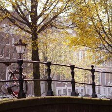 Autumn mood 05
