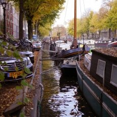 Autumn mood 17