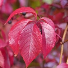 Autumn mood 19