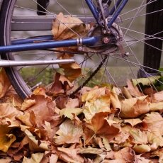 Autumn mood 21