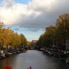 Autumn canal