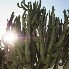 Benalmadena in February 03