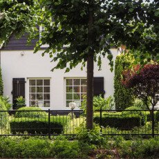 Bergen, the Netherlands 12