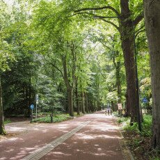 Bergen, the Netherlands 13