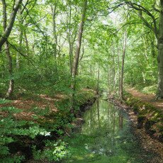 Bergen, the Netherlands 14